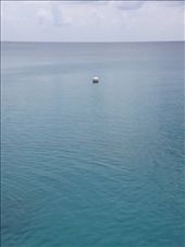 by wallaki, Views[166]