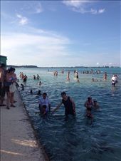 by wallaki, Views[114]