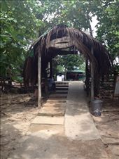 by wallaki, Views[158]