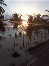 by wallaki, Views[110]