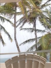 by wallaki, Views[126]