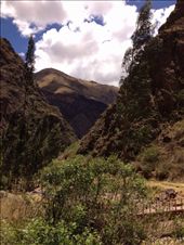 by wallaki, Views[134]