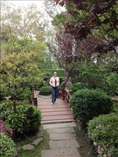 by wallaki, Views[126]