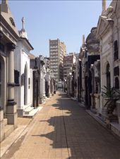 by wallaki, Views[205]