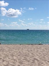 by wallaki, Views[170]