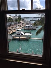 by wallaki, Views[203]