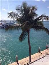 by wallaki, Views[233]