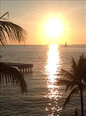 by wallaki, Views[194]