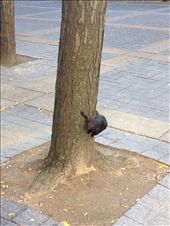 by wallaki, Views[157]