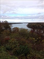 by wallaki, Views[151]