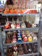 by wallaki, Views[237]