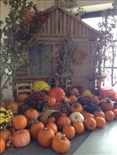 by wallaki, Views[162]