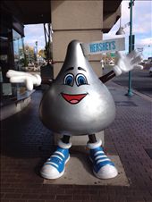 by wallaki, Views[127]