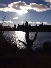 by wallaki, Views[251]