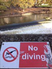 by wallaki, Views[167]