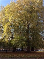 by wallaki, Views[165]