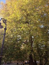 by wallaki, Views[141]