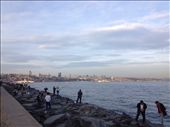 by wallaki, Views[231]