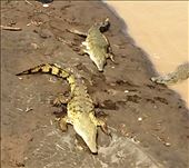 Big one: by walt, Views[261]