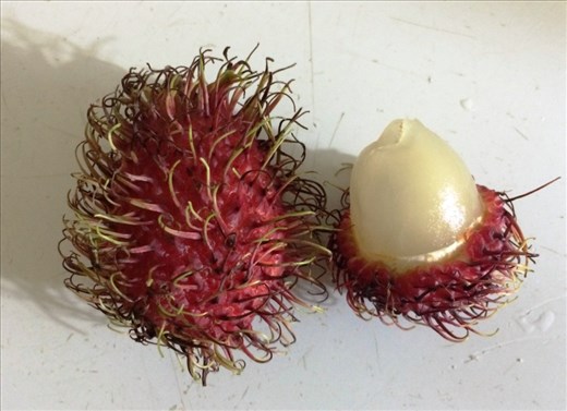 Mamon Chino fruit - inside texture and taste of gummy bear