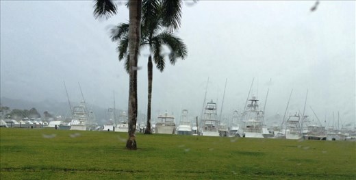 Los Suenos Marina from the parking lot in the rain