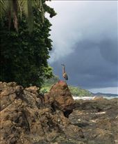 Some kind of bird: by walt, Views[236]