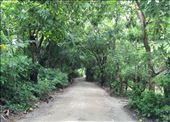 Road to Malpais: by walt, Views[281]