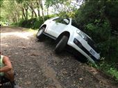 Rental car (not mine) off road in ditch: by walt, Views[252]