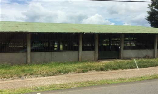 The elementary schools are often 