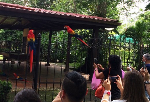 I wasn't the only one who saw them