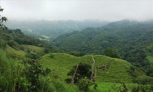 View of the countryside on the drive up