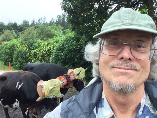 I did a selfie with some oxen at a coffee plantation tour