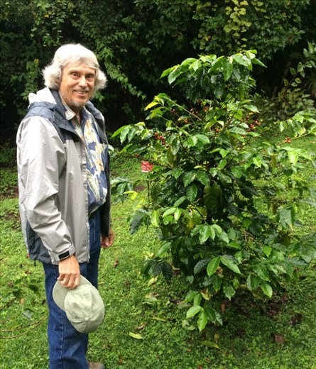 Me with a coffee tree with some ripe red beans ready to pick