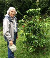 Me with a coffee tree with some ripe red beans ready to pick: by walt, Views[309]