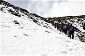 step by step, we're on a lifelong expidition: by wander-ing, Views[291]