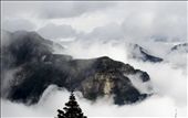 dream or real, never mind, it stays still...and wait for us. : by wander-ing, Views[215]