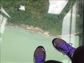 View from glass bottomed cable car: by wander-wonder, Views[357]