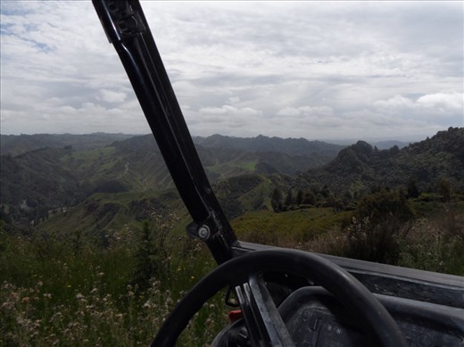 Morning drive out in Blue Duck Station farm