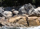 Seal spotting: by wander-wonder, Views[263]