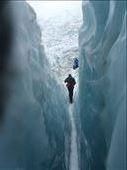 Fox Glacier: by wander-wonder, Views[210]