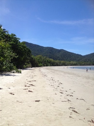 Cape Tribulation
