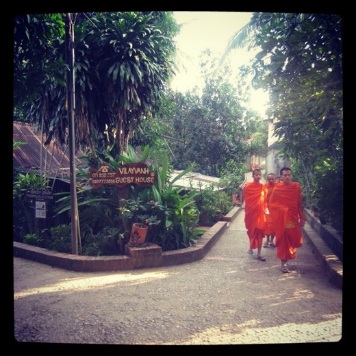 Monks, Luang Prabang