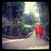 Monks, Luang Prabang: by wanderandshare, Views[204]
