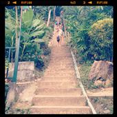 by wanderandshare, Views[228]