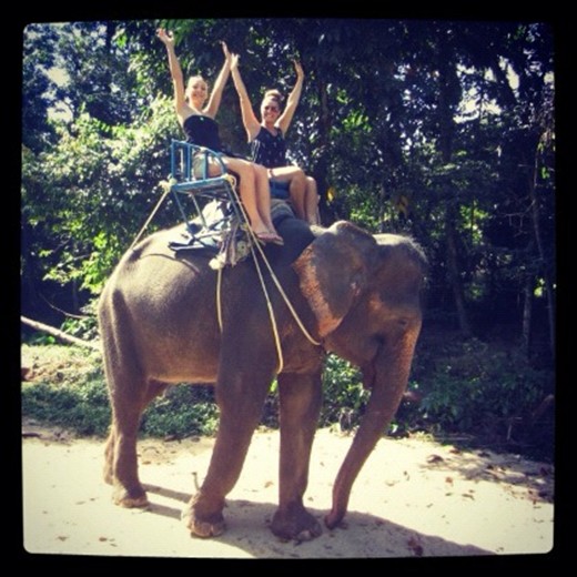 Elephant Trekking, Koh Samui
