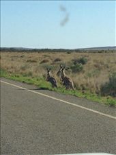 by wanderandshare, Views[202]