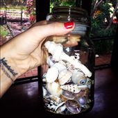 by wanderandshare, Views[222]