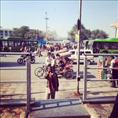 by wanderandshare, Views[237]