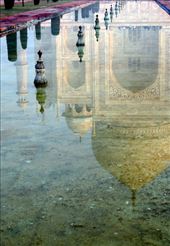 by wanderedsome, Views[275]