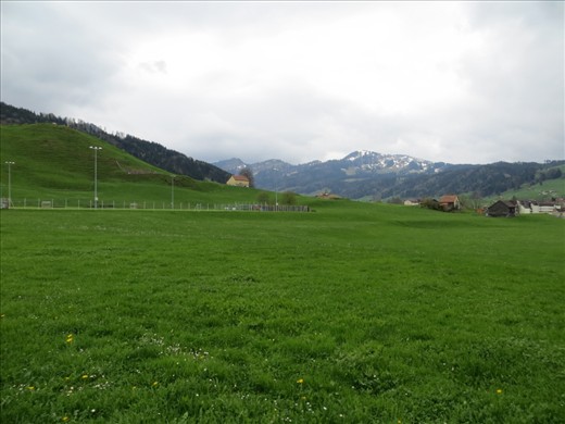 Keep the goal always in sight.